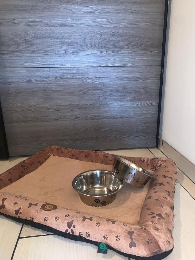Apartment Owl Kořenov Екстериор снимка