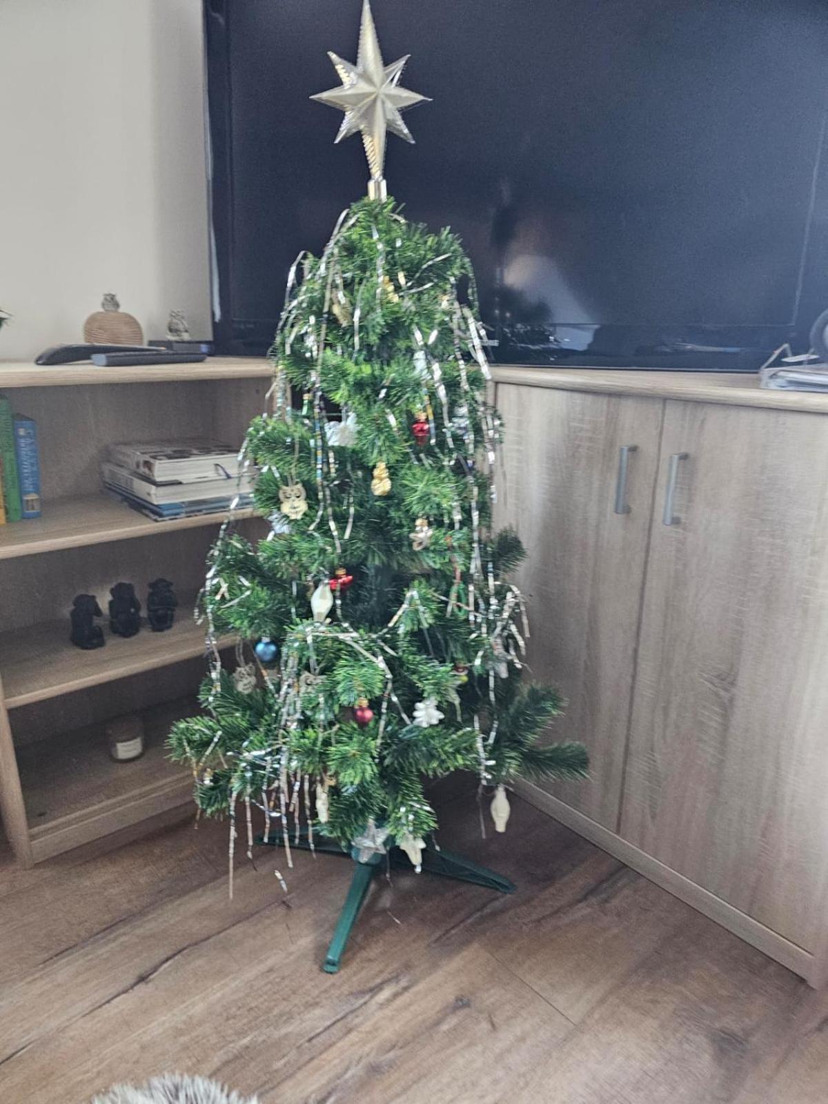 Apartment Owl Kořenov Екстериор снимка