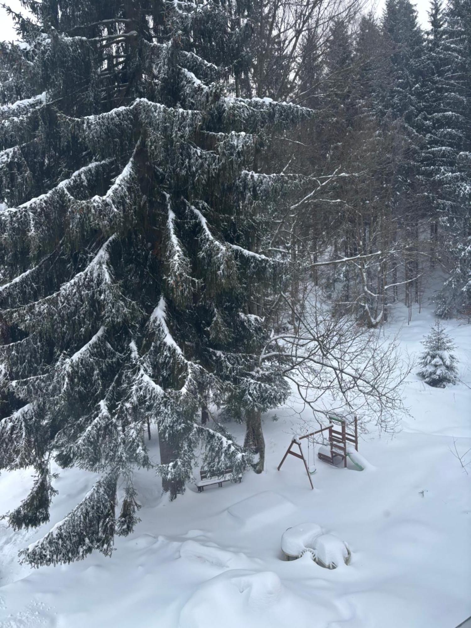 Apartment Owl Kořenov Екстериор снимка